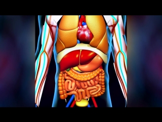 ЧТО БУДЕТ ЕСЛИ НЕ ХОДИТЬ В ТУАЛЕТ