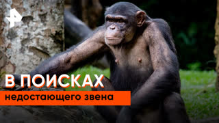 «Загадки человечества»: недостающее звено